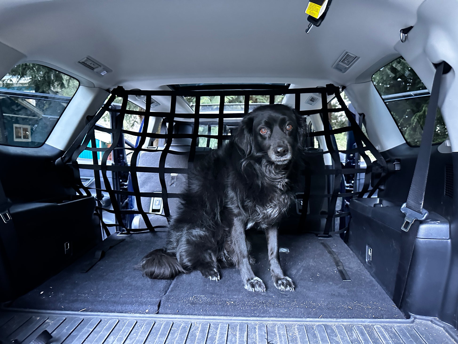 2023 - Newer Toyota Grand Highlander Behind 2nd Row Seats Rear Barrier Divider Net-Raingler