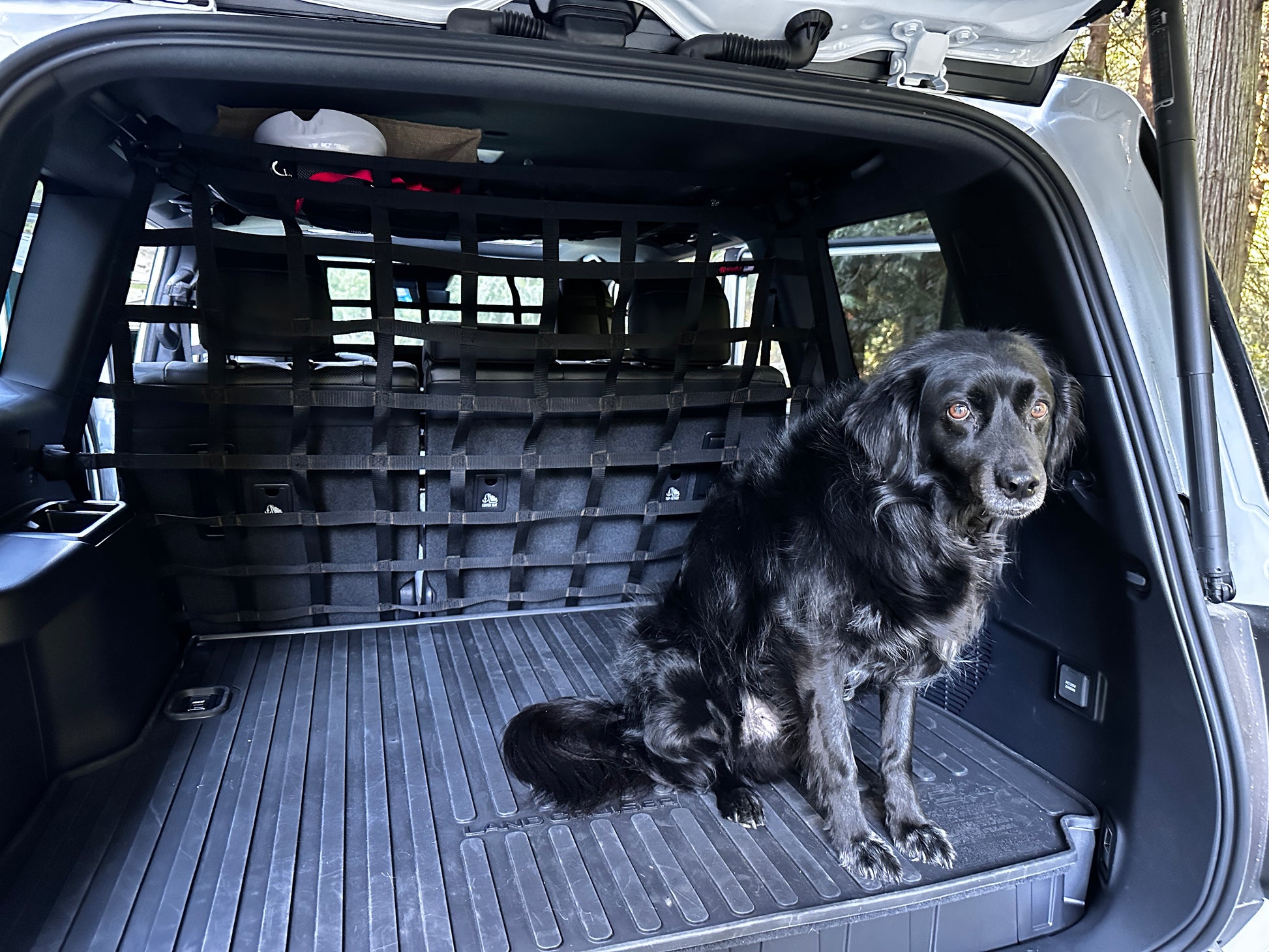 2024 - Newer Toyota Land Cruiser (J250) Behind 2nd Row Seats Rear Barrier Divider Net-Raingler