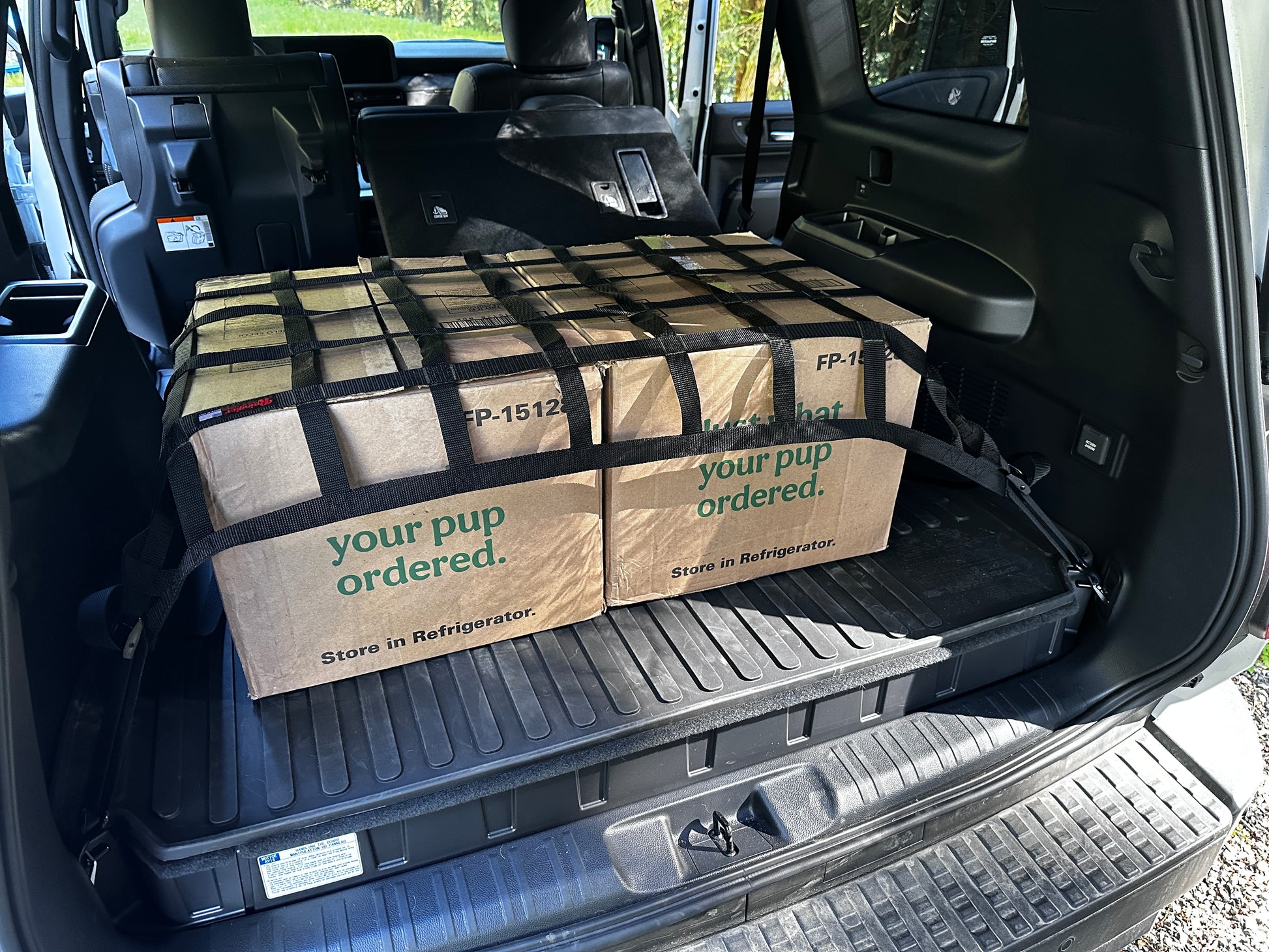 2024 - Newer Toyota Land Cruiser (J250) Cargo Area Net-Raingler